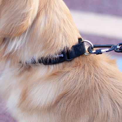 Medium Dog Collar, Black:Heavy-Duty Quick-Release Nylon Buckle, Adjustable & Durable, Cute Dog Collar (Medium, Black)