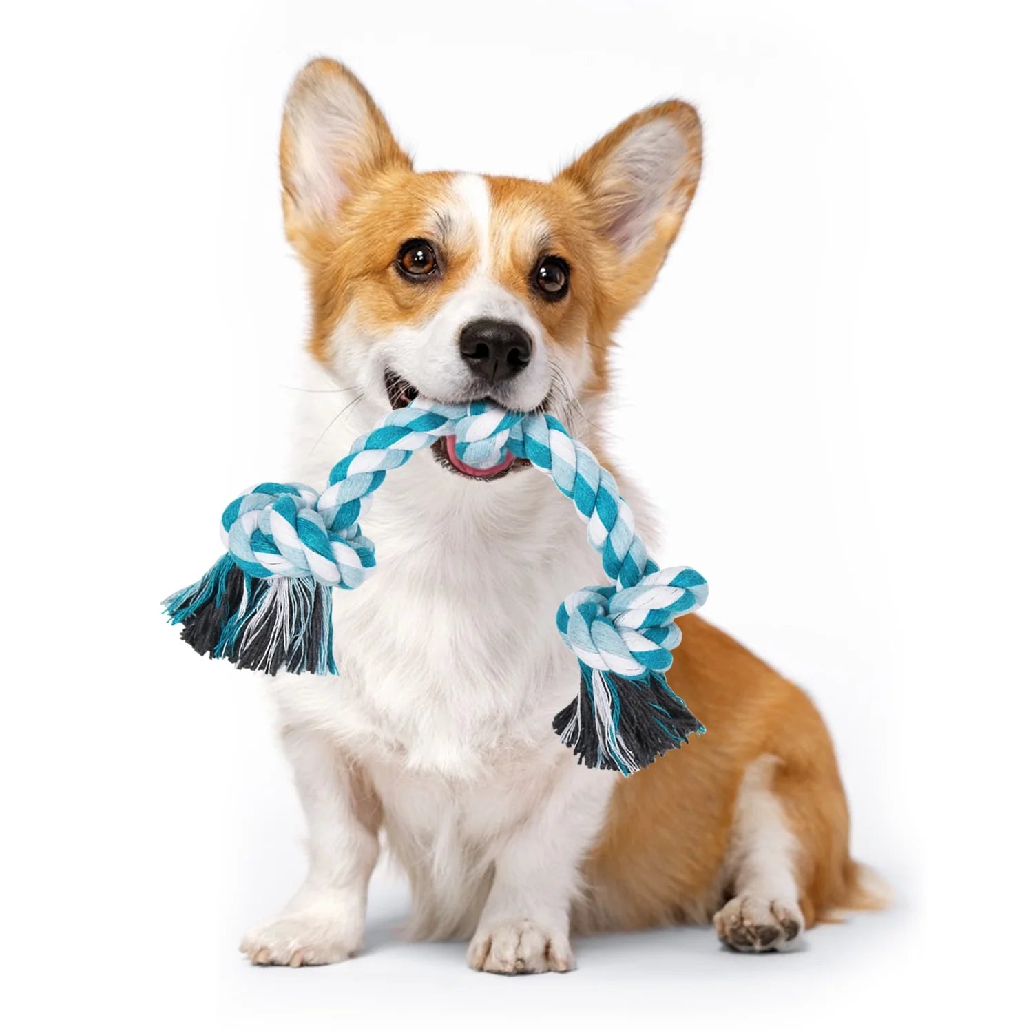Durable Braided Cotton Dog Rope Toys with 3 Knots for Effective Teeth Cleaning - Ideal Gift for Pets (Blue)